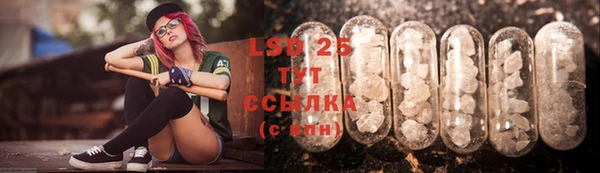 скорость Ладушкин
