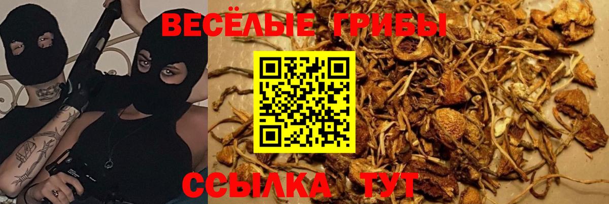 Галлюциногенные грибы мухоморы Моршанск